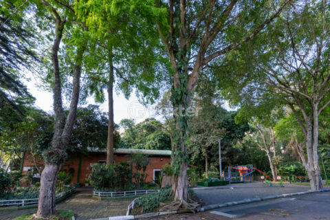 Image 37 - 1033438