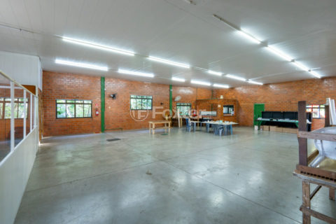 Image 39 - 1033438