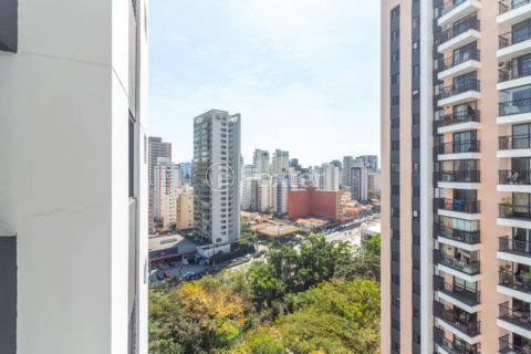 Image 31 - 1033460