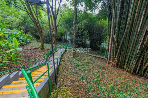 Image 55 - 1033546