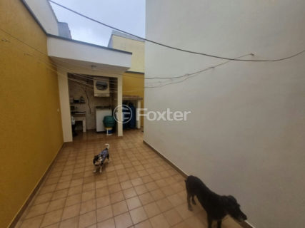 Image 39 - 1033555