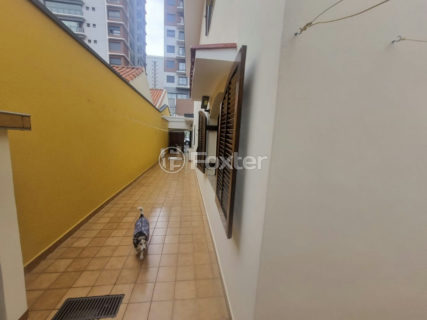 Image 40 - 1033555