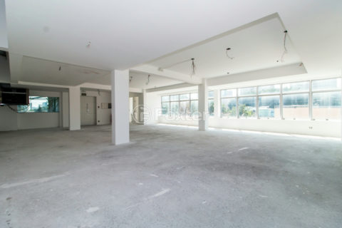Image 38 - 1033595