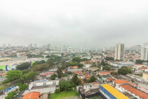Image 2 - 1033627