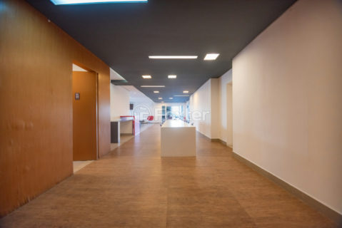 Image 41 - 1033631
