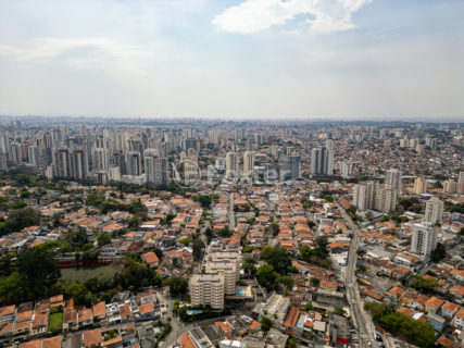 Image 47 - 1033665