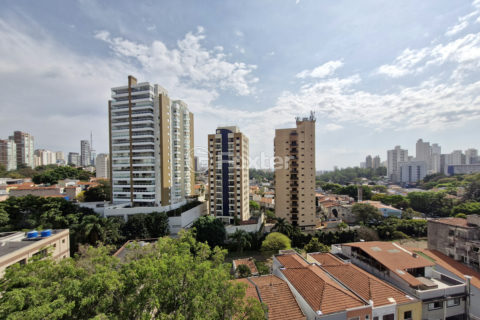 Image 33 - 1033691