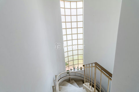 Image 25 - 1033703