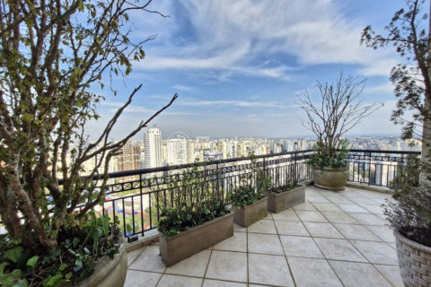 Image 39 - 1033731