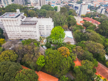 Image 54 - 1033763