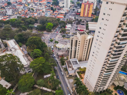 Image 53 - 1033763