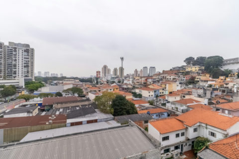 Image 31 - 1033782