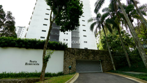 Image 31 - 1033852