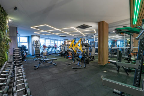 Image 35 - 1033873