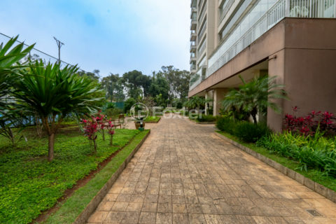 Image 55 - 1033873