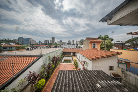 Image 55 - 1033882