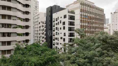Image 40 - 1033884