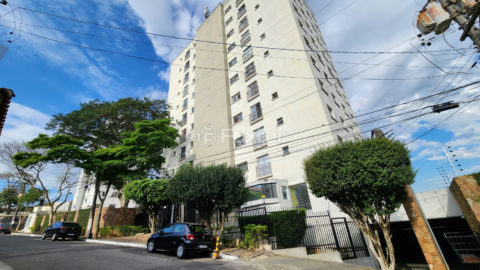 Image 35 - 1033905