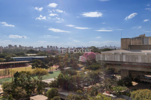 Image 26 - 1033911