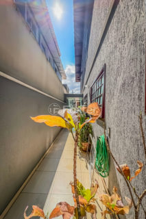 Image 31 - 1033971