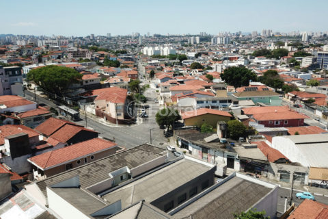 Image 31 - 1033986