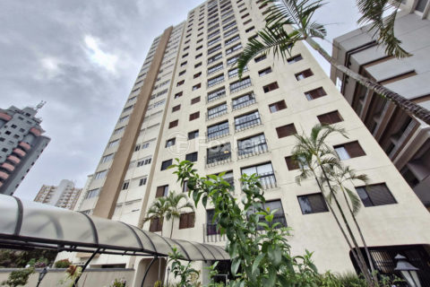 Image 33 - 1034185