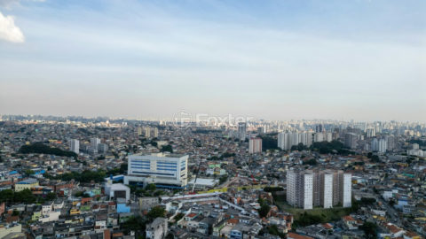 Image 43 - 1034351