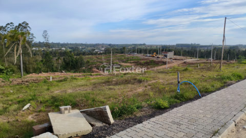 Image 3 - 1034408