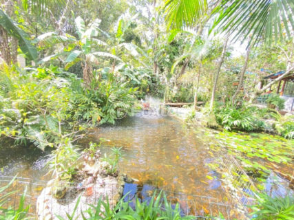 Image 7 - 1034486