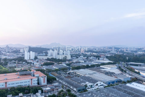 Image 37 - 1034686