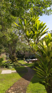 Image 7 - 1034943