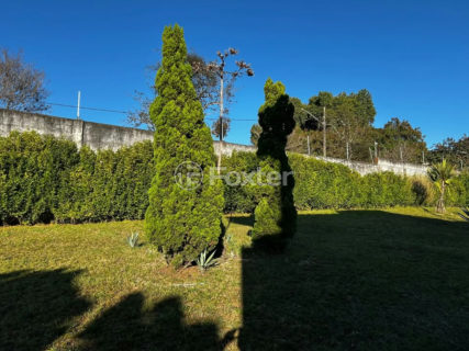 Image 4 - 1034992