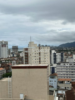Image 43 - 1035113