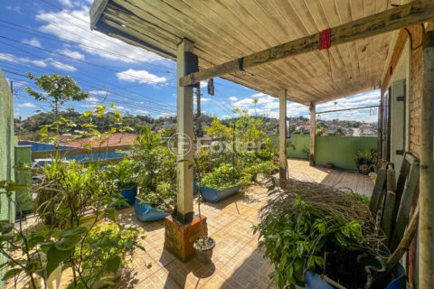 Image 30 - 1035137