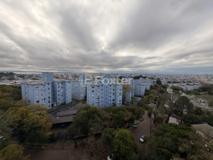 Image 29 - 1035194