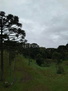 Image 3 - 1035201