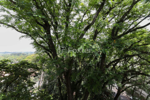 Image 22 - 1035208
