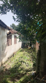 Image 3 - 1035297
