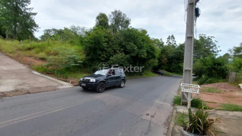 Image 7 - 1035404