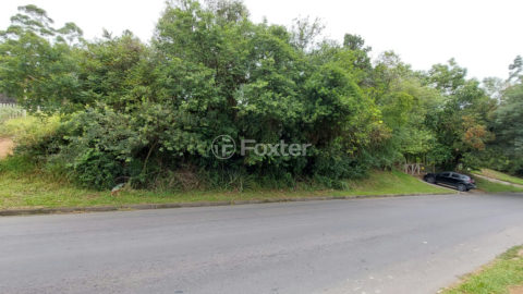 Image 4 - 1035404