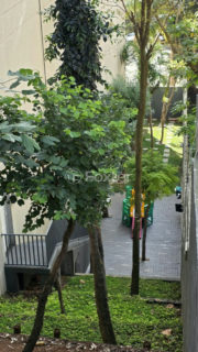 Image 35 - 1035542