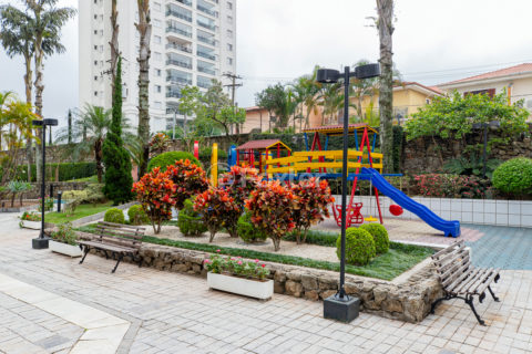 Image 41 - 1035545