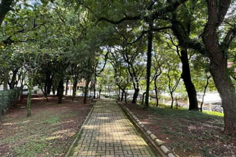 Image 36 - 1035550