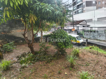 Image 8 - 1035584