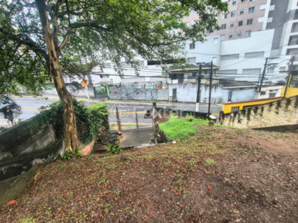Image 5 - 1035584