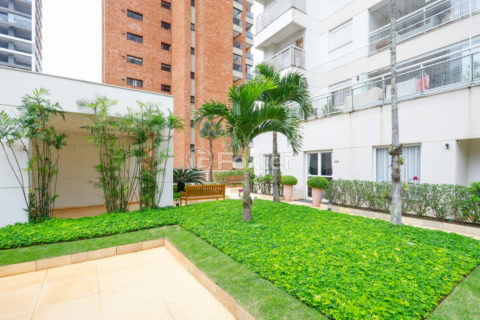Image 34 - 1035585