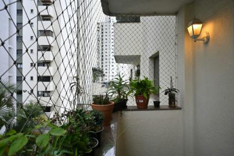 Image 10 - 1035586
