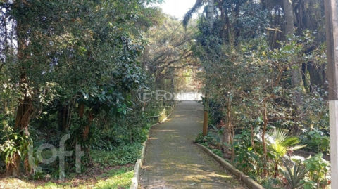 Image 8 - 1035948