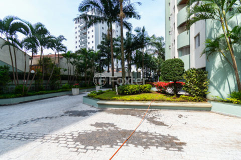 Image 49 - 1035974