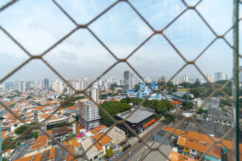 Image 28 - 1035974